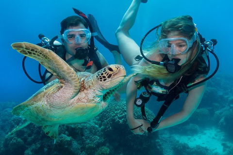 Great Barrier Reef Diving And Snorkeling Cruise From Cairns - Attractions Melbourne 3