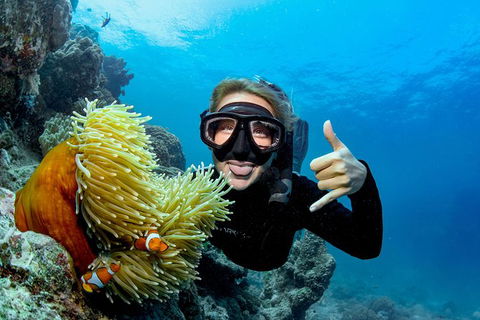 Great Barrier Reef Diving And Snorkeling Cruise From Cairns - Attractions Melbourne 6