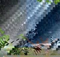 Atherton Tablelands Waterfalls Tour from Cairns - Attractions Melbourne
