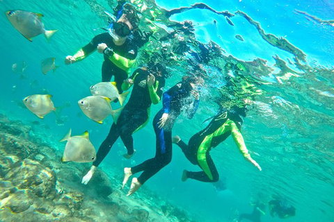 Half-Day Kayak, SUP And Snorkel Tour At Wave Break Island With Lunch - Attractions Melbourne 7