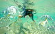 Half-Day Kayak, SUP And Snorkel Tour At Wave Break Island With Lunch - thumb 9