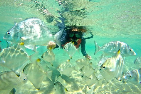 Half-Day Kayak, SUP And Snorkel Tour At Wave Break Island With Lunch - Attractions Melbourne 9