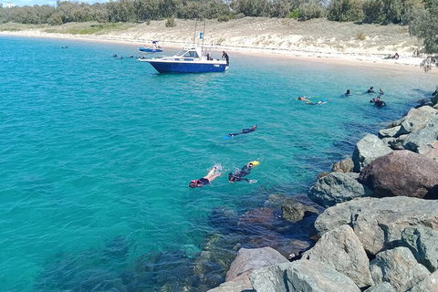 Half-Day Kayak, SUP And Snorkel Tour At Wave Break Island With Lunch - Attractions Melbourne 3