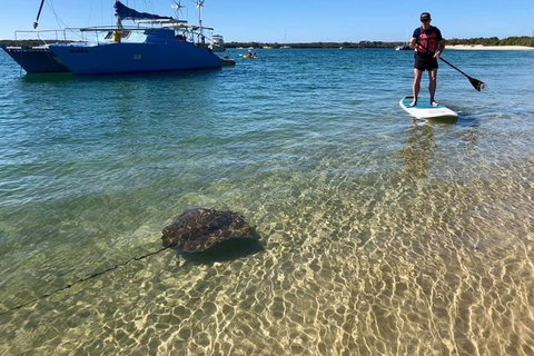 Half-Day Kayak, SUP And Snorkel Tour At Wave Break Island With Lunch - Attractions Melbourne 2