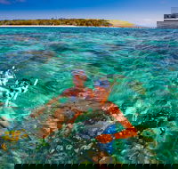 2-Day Green Island Cruise and Kuranda Day Trip - Attractions Melbourne