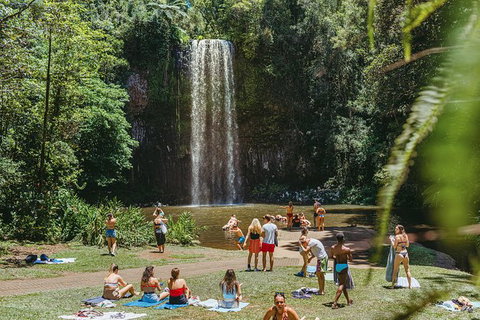 Atherton Tablelands Waterfalls And Rainforest Day Tour Departing Cairns - Attractions Melbourne 4