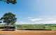 Atherton Tablelands Waterfalls And Rainforest Day Tour Departing Cairns - thumb 9