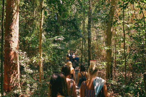 Atherton Tablelands Waterfalls And Rainforest Day Tour Departing Cairns - Attractions Melbourne 10