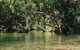 Atherton Tablelands Waterfalls And Rainforest Day Tour Departing Cairns - thumb 3