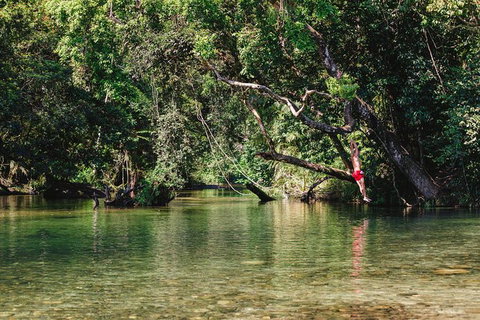 Atherton Tablelands Waterfalls And Rainforest Day Tour Departing Cairns - Attractions Melbourne 3