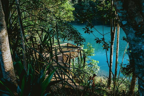 Atherton Tablelands Waterfalls And Rainforest Day Tour Departing Cairns - Attractions Melbourne 5