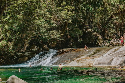 Atherton Tablelands Waterfalls And Rainforest Day Tour Departing Cairns - Attractions Melbourne 8