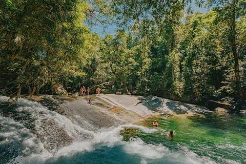 Atherton Tablelands Waterfalls And Rainforest Day Tour Departing Cairns - Attractions Melbourne 0