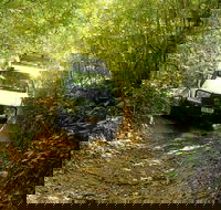 Barron Gorge and Kuranda National Park Half Day Rainforest and Waterfall 4WD Tour from Cairns - Attractions Melbourne