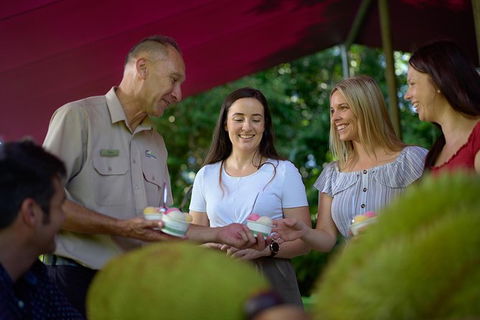 Daintree And Cape Tribulation Tour From Cairns - Attractions Melbourne 1
