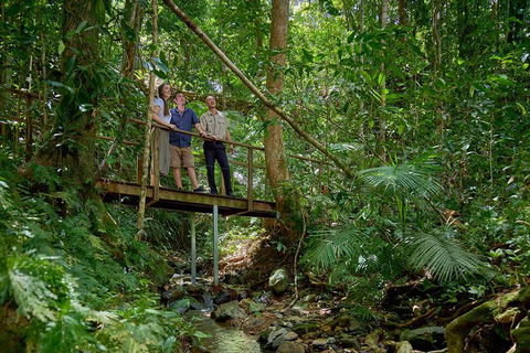 Daintree And Cape Tribulation Tour From Cairns - Attractions Melbourne 3