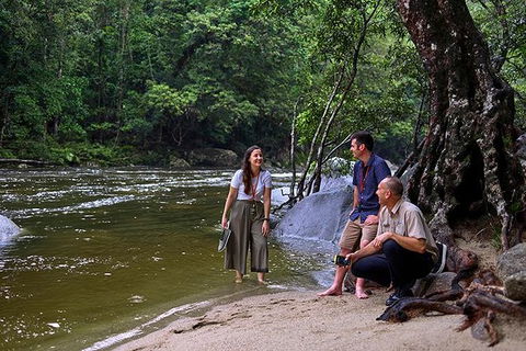 Daintree And Cape Tribulation Tour From Cairns - Attractions Melbourne 2
