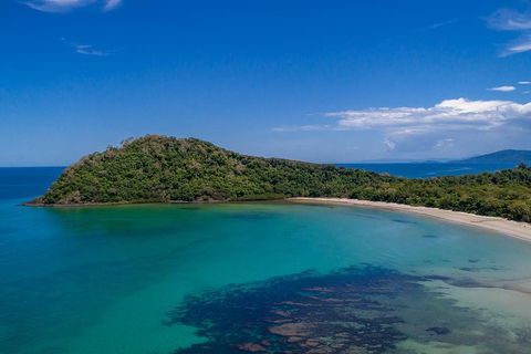 Daintree And Cape Tribulation Tour From Cairns - Attractions Melbourne 7