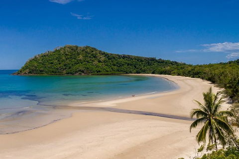 Daintree And Cape Tribulation Tour From Cairns - Attractions Melbourne 8