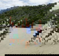 Small Group Daintree Rainforest Tour - Attractions Melbourne