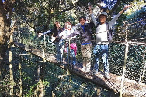 Private Tour - Attractions Melbourne 11