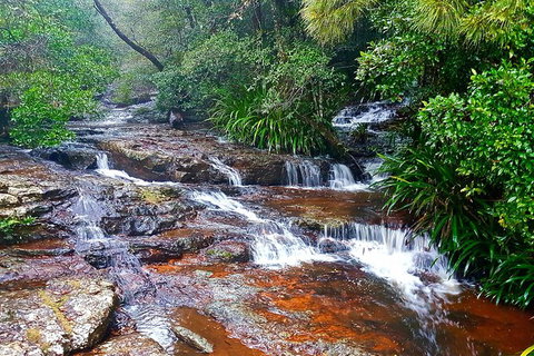 Private Tour - Attractions Melbourne 2