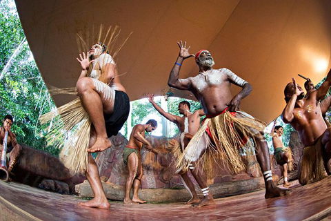 Kuranda Highlights Including Rainforestation Aboriginal Culture And Wildlife - Attractions Melbourne 3