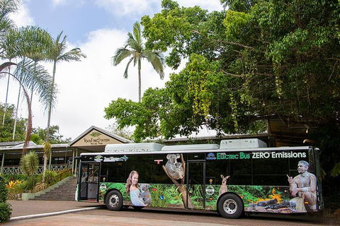 Kuranda Highlights Including Rainforestation Aboriginal Culture And Wildlife - Attractions Melbourne 4
