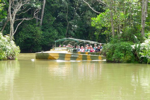 Kuranda Highlights Including Rainforestation Aboriginal Culture And Wildlife - Attractions Melbourne 5