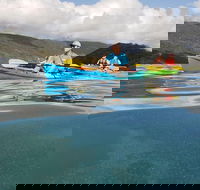 Kayak Turtle Tour from Palm Cove - Attractions Melbourne