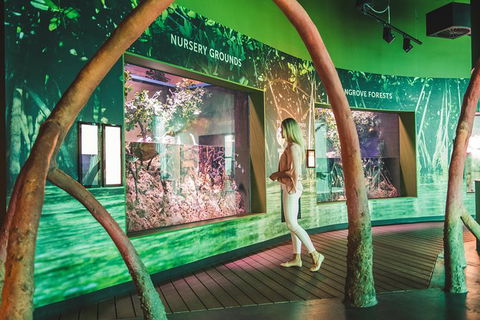 Cairns Aquarium Admission Ticket - Attractions Melbourne 5