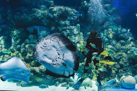 Cairns Aquarium Admission Ticket - Attractions Melbourne 4