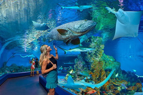 Cairns Aquarium Admission Ticket - Attractions Melbourne 0