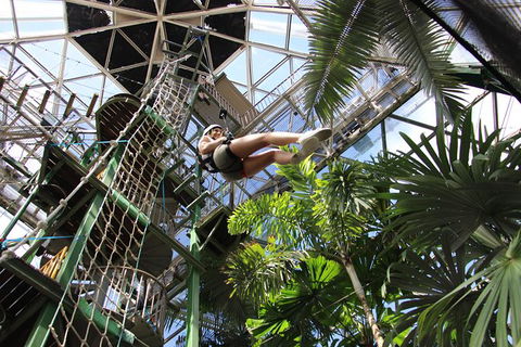 Cairns ZOOM And Wildlife Dome - Attractions Melbourne 5