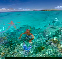 Green Island Discovery Including Glass Bottom Boat Tour Departing Cairns - Attractions Melbourne