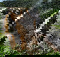 Cairns National Park Rainforest and Waterfall Small Group Tour Shore Excursion - Attractions Melbourne