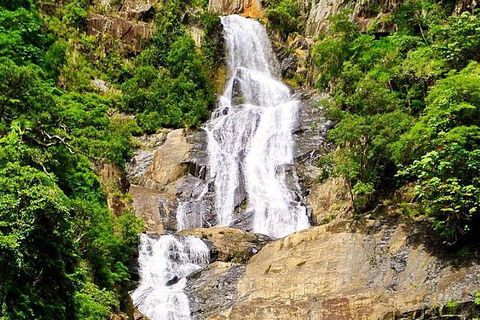 Cairns National Park Rainforest And Waterfall Small Group Tour Shore Excursion - Attractions Melbourne 5