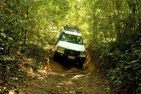 Cairns National Park Rainforest And Waterfall Small Group Tour Shore Excursion - Attractions Melbourne 1