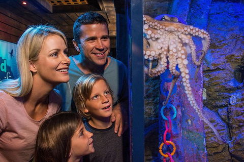 SEA LIFE Sunshine Coast Aquarium Entrance Ticket - Attractions Melbourne 5
