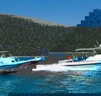 Private Standard Charter Experience in Whitsundays - Attractions Melbourne