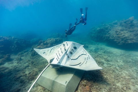 Private Standard Charter Experience In Whitsundays - Attractions Melbourne 7