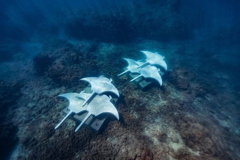 Private Standard Charter Experience In Whitsundays - Attractions Melbourne 6