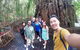 Cairns 4WD Waterfall And Rainforest Tour Including Kuranda Scenic Railway - thumb 6