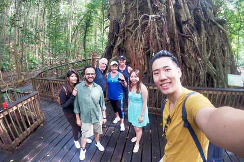 Cairns 4WD Waterfall And Rainforest Tour Including Kuranda Scenic Railway - Attractions Melbourne 6
