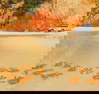 Great Beach Drive 4WD Day Tour Between Noosa and Rainbow Beach - Attractions Melbourne