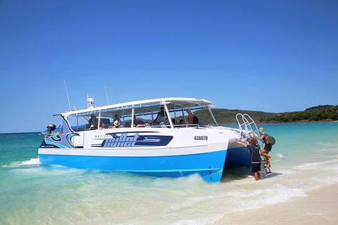 Whitsunday Bullet Day Trip - Whitehaven Beach And Snorkelling - Attractions Melbourne 9