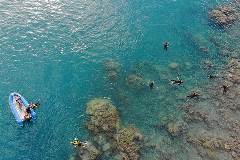 Whitsunday Bullet Day Trip - Whitehaven Beach And Snorkelling - Attractions Melbourne 12