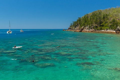 Whitsunday Bullet Day Trip - Whitehaven Beach And Snorkelling - Attractions Melbourne 16