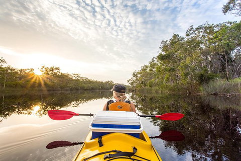 Self-Guided Noosa Everglades Kayak Tour - Attractions Melbourne 1