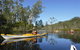 Self-Guided Noosa Everglades Kayak Tour - thumb 0